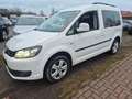 Volkswagen Caddy JAKO-O Edition Rollstuhlramppe Bi-Xenon Weiß - thumbnail 13