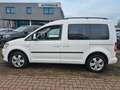 Volkswagen Caddy JAKO-O Edition Rollstuhlramppe Bi-Xenon Weiß - thumbnail 2