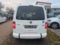 Volkswagen Caddy JAKO-O Edition Rollstuhlramppe Bi-Xenon Weiß - thumbnail 7