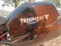 Triumph Sprint ST st Negro - thumbnail 5