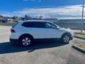 Volkswagen Tiguan Allspace Tiguan 1,5 TSI ACT Allspace DSG Life Life Weiß - thumbnail 5
