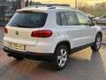 Volkswagen Tiguan 2.0TSI +Motion DSG Blanc - thumbnail 3
