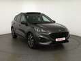 Ford Kuga 2.0 EcoBlue ST-Line 4x4 Panorama Kamera AHK Gris - thumbnail 7