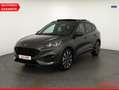 Ford Kuga 2.0 EcoBlue ST-Line 4x4 Panorama Kamera AHK Gris - thumbnail 1