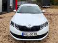 Skoda Octavia Clever Weiß - thumbnail 6