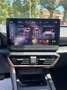 CUPRA Formentor Formentor 2.0 tsi 4drive 190cv dsg NESSUN VINCOLO Grigio - thumbnail 9