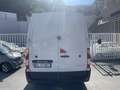 Renault Master T35 Bianco - thumbnail 5