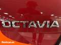 Skoda Octavia Combi 2.0 TSI DSG RS 180kW Rojo - thumbnail 23