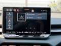 CUPRA Terramar 1.5 e-TSI 150 PS DSG Blau - thumbnail 15