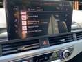 Audi A4 allroad 40 TDI Quattro*Leder*Navi+*AHK*Pano Grau - thumbnail 5