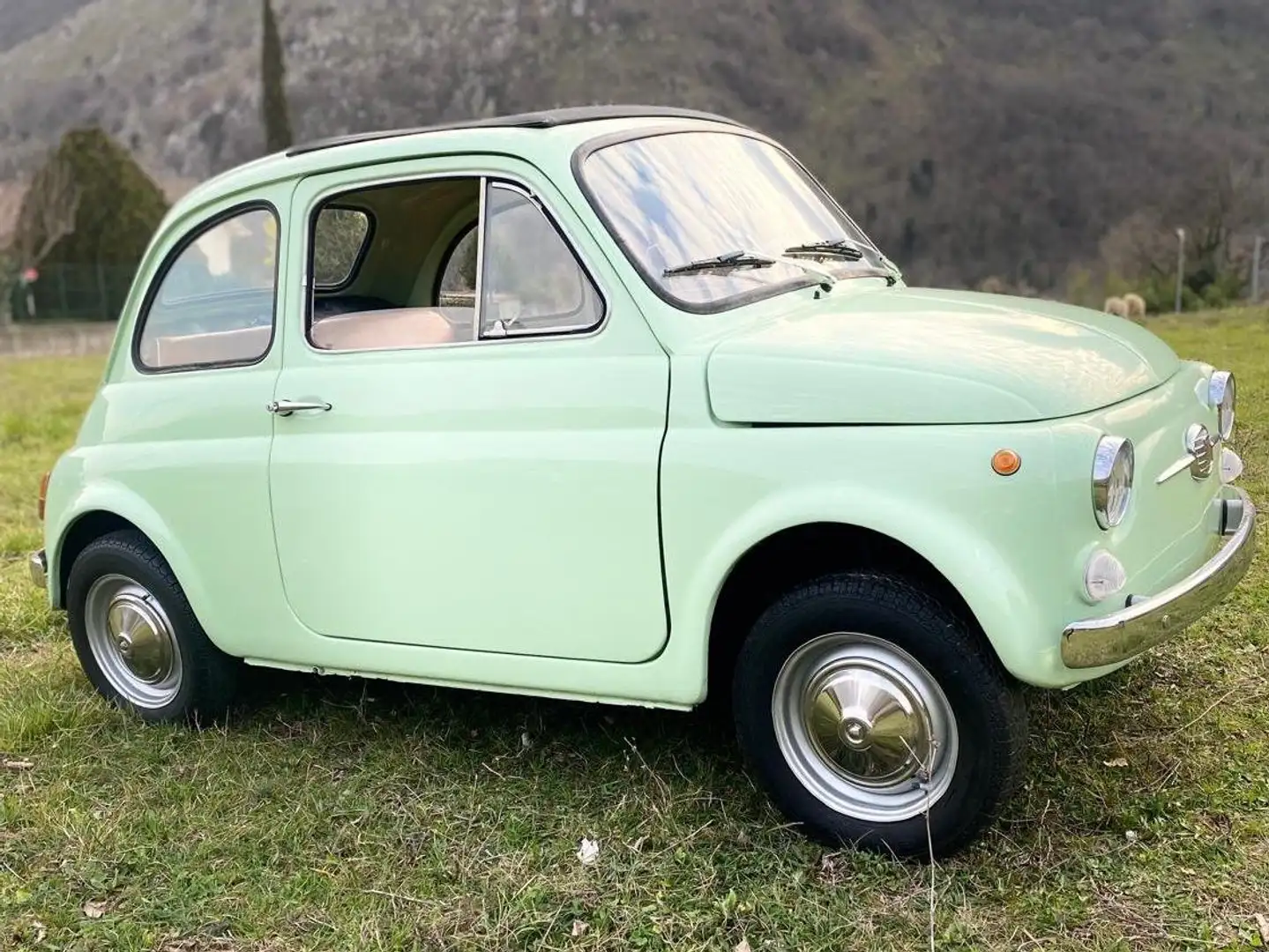 Fiat 500 Verde - 1