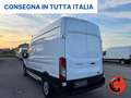 Ford Transit 350 2.0TDCI(L3H3)SENSORI-CRUISE-ASSISTENZA FRENATA Bianco - thumbnail 5