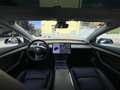 Tesla Model 3 -- Standard Range Plus Blu/Azzurro - thumbnail 15