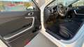 Kia Ceed / cee'd Ceed 1.5 T-GDI  Vision/Navi/App/SH/LH Weiß - thumbnail 14