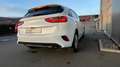 Kia Ceed / cee'd Ceed 1.5 T-GDI  Vision/Navi/App/SH/LH Weiß - thumbnail 4