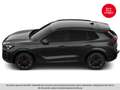 CUPRA Terramar 2.0 TSI 204 PS DSG 4Drive Grau - thumbnail 18