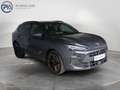 CUPRA Terramar 2.0 TSI 204 PS DSG 4Drive Grau - thumbnail 6
