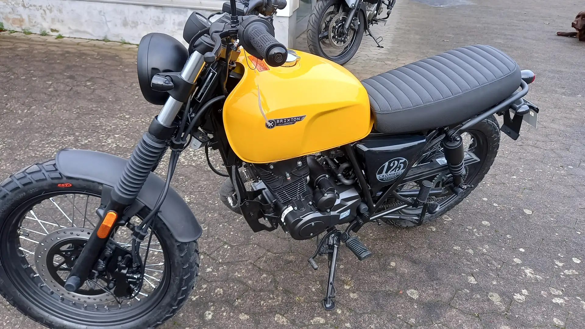 Brixton Cromwell 125 Cromwell 125 CBS Jaune - 2