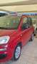 Fiat Panda Panda III 2012 1.2 Easy 69cv E6 Rosso - thumbnail 2