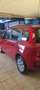 Fiat Panda Panda III 2012 1.2 Easy 69cv E6 Rosso - thumbnail 4