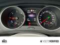 Volkswagen Tiguan Life 2.0 TDI DSG LED+PDC+SHZ Grau - thumbnail 13