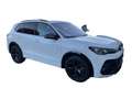 Volkswagen Tiguan 2.0 TDI DSG R-Line AHZV Kamera Navi LED Weiß - thumbnail 5