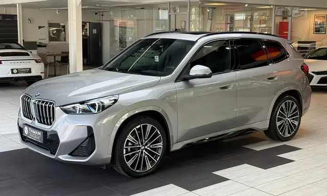 BMW X1 view 2