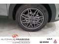 Kia Stonic Nightline Edition1.0T DCT Navi LED PDC Rückfahrkam Gris - thumbnail 14