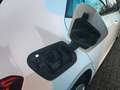 Volkswagen ID.3 Pro 58 kWh (146 PK) 1e-Eig. & Keurig-Onderh. BOVAG Blanco - thumbnail 30