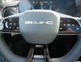 BAIC Bejiing X75 1,5 Turbo AppleCarpl. /Android Auto Argent - thumbnail 25