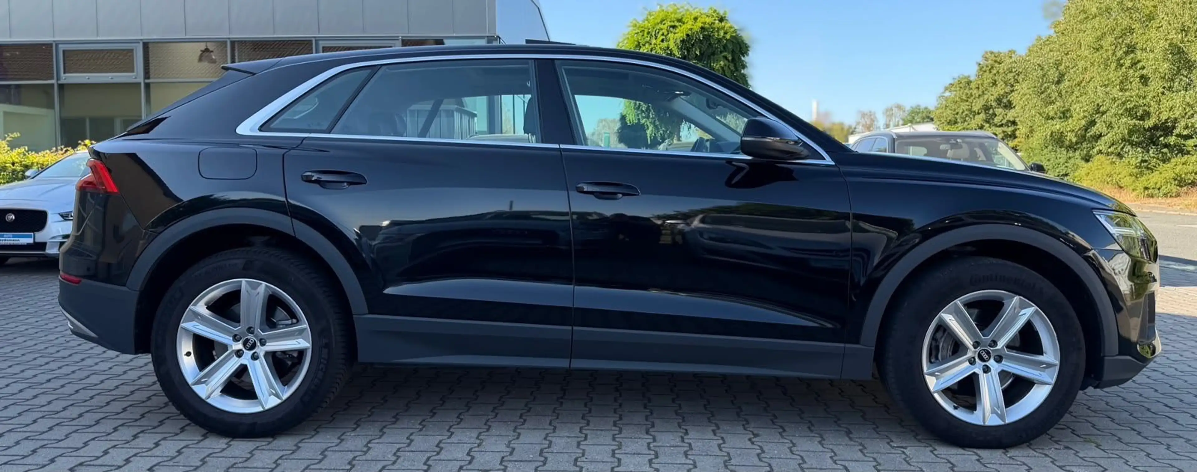 Audi Q8 45 TDI quattro Competition plus Panorama — photo 10
