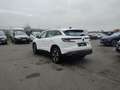 Renault Austral Techno 1.3 TCe 160 Mil Austral Techno Mild Hybrid 160 Automatik Weiß - thumbnail 3
