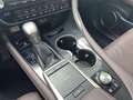 Lexus RX 450h Executive Line Gris - thumbnail 14