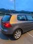 Volkswagen Golf Golf 1.9TDI Highline 4Motion Highline Gris - thumbnail 8