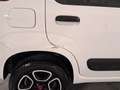 Fiat Panda Van 0.9 TwinAir Turbo Pop 4x4 Autocarro 2 Posti Bianco - thumbnail 14