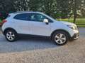 Opel Mokka Mokka 1.6 Ecotec 115CV 4x2 Start&Stop Cosmo Bianco - thumbnail 3