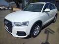 Audi Q3 Q3 2.0 tdi Sport 120cv s-tronic Bianco - thumbnail 1