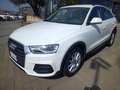 Audi Q3 Q3 2.0 tdi Sport 120cv s-tronic Bianco - thumbnail 3