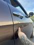 Lancia Ypsilon 1.2 8v Versus UNICO PROPRIETARIO NEOPATENTATI - thumbnail 18