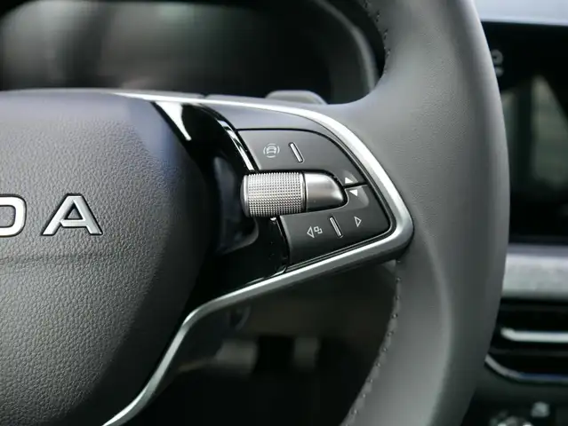 Skoda Kamiq view 12