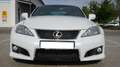 Lexus IS F - thumbnail 4