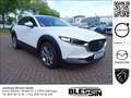 Mazda CX-30 2.0 SKYACTIV-G M Hybrid Selection Autom HeadUp Bianco - thumbnail 1