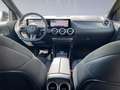 Mercedes-Benz EQA 250 + AMG+PREMIUM+NIGHT+WINTERPAKET+SOUND Negru - thumbnail 9