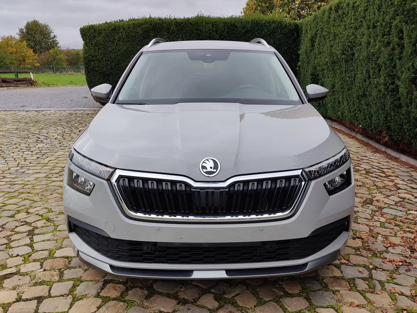 Skoda Kamiq Kamiq 1.0 TSI Ambition Gris - 2