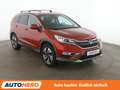 Honda CR-V 1.6 DTEC Lifestyle 4WD*NAVI*XENON*STANDHZG*PDC*SHZ Rot - thumbnail 8