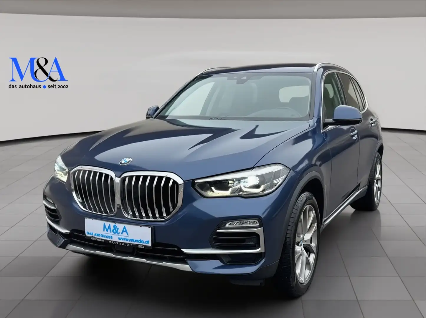 BMW X5 xDrive 30d xLine*GARANTIE Blau - 1