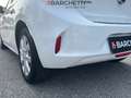 Opel Corsa (P2JO) 1.2 EDITION Bianco - thumbnail 7