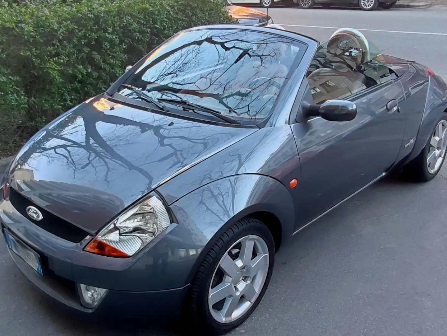 Ford Streetka StreetKa 1.6 Leather 95cv Gris - 1