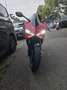 Ducati 899 Panigale titanium race uitlaat 75mm met termignoni dempers Rouge - thumbnail 3