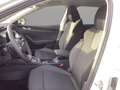 Skoda Octavia Combi Selection 1,5 TSI mHEV 110 kW 7-Gang-DSG Weiß - thumbnail 10